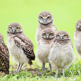 Family by Mlorenzphotography