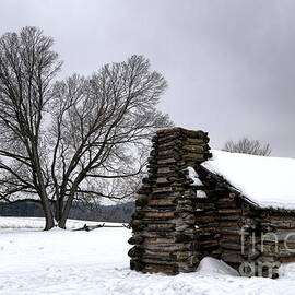 Far from the Battle by Olivier Le Queinec