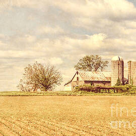 Farm and Fields  by Olivier Le Queinec