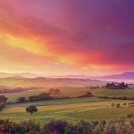 Farm In Tuscany At Dawn by Mammuth