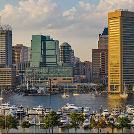 Federal Hill View To The Baltimore Skyline by Susan Candelario