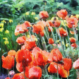 Field of Flowers by Jeffrey Kolker