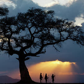 Fig Tree And Three Masai Men Silhouetted by Adam Jones
