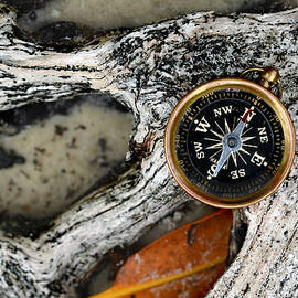 find your way by Laura Fasulo