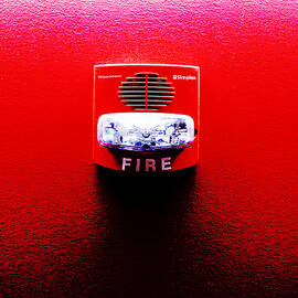 Fire Alarm Strobe by Richard Reeve