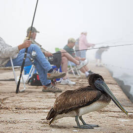 Port Aransas Texas by Mary Lee Dereske