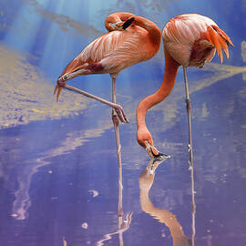 Flamingo Fantasy Lights by Bill and Linda Tiepelman