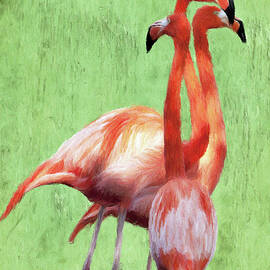 Flamingo Twist by Jeffrey Kolker