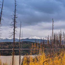 Flathead National Forest by Adam Mateo Fierro