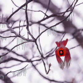 Flight Of A Winter Cardinal by Bill and Linda Tiepelman