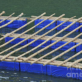 Floatting nets by Sami Sarkis Photography