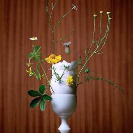Floral Arrangement By Eve Suter by Jonathan Kantor