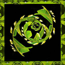 Floral Fantasia by Jean Noren