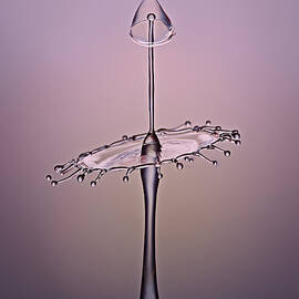 Fluid Tutu by Susan Candelario