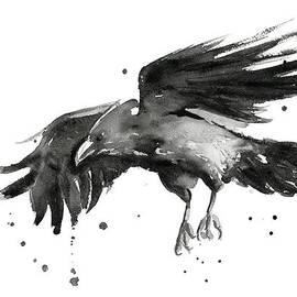 Flying Raven Watercolor by Olga Shvartsur
