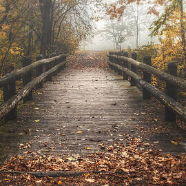 Foggy Lake Park Footbridge by Scott Norris
