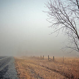 Foggy Morning With Tree by Lynn.h.armstrong Photography