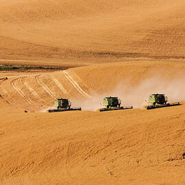 Follow The Leader by Mary Jo Allen