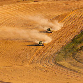 Following by Mary Jo Allen