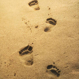 Footprints in the sand by Jelena Jovanovic