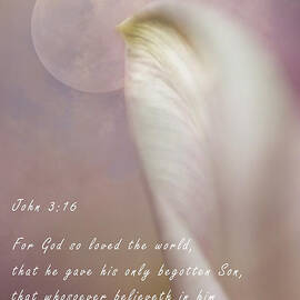 For God So Loved the World by David Kelly