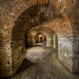 Fort Macomb Arches Vertical by David Morefield