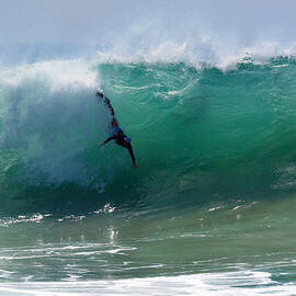 Free Fall by Joe Schofield