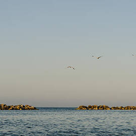 Freedom by AM FineArtPrints