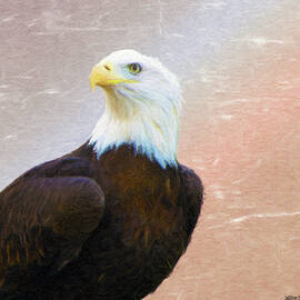 Freedom Flyer by Jeffrey Kolker