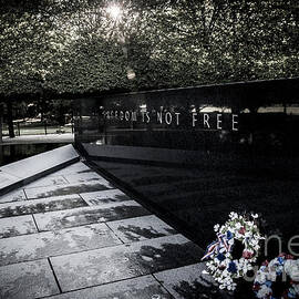 Freedom is Not Free by Darcy Michaelchuk