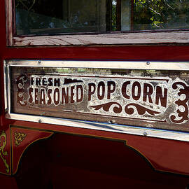 Fresh Seasoned Popcorn by Richard Reeve