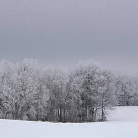Frosty Farm Fields by Dale Kauzlaric