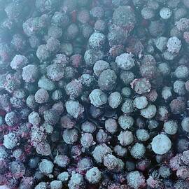 Frozen Blueberries by Romulo Yanes