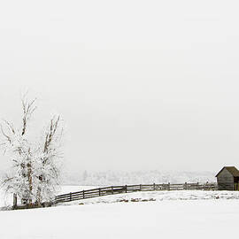 Frozen Farm by Mary Jo Allen