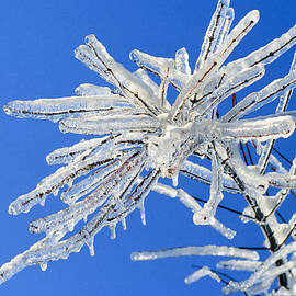 Frozen by Kelley King