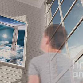 gallery 3 by Stefano Senise