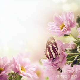 Garden and Butterfly by Jelena Jovanovic