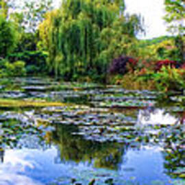 Garden of Dreams by Olivier Le Queinec