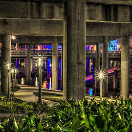Garden Under the Bridge by David Morefield