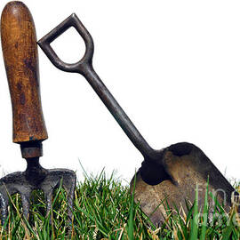 Gardening Tools by Olivier Le Queinec