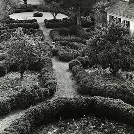 Gardens Of The Chelsea Plantation by Ralph Bailey
