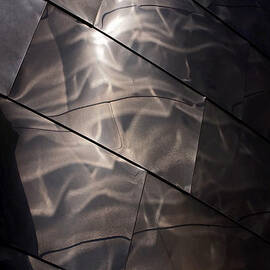 Gehry Magic by Rona Black