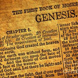 Genesis by Olivier Le Queinec