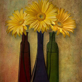 Gerbera Trio by Susan Candelario