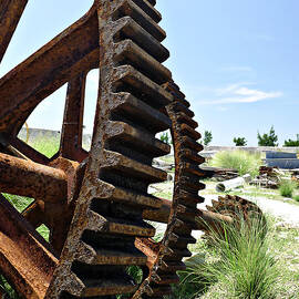 Giant Cog by Richard Reeve