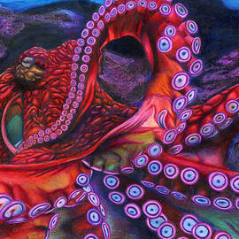 Giant Pacific Octopus by Erick Villegas by California Coastal Commission