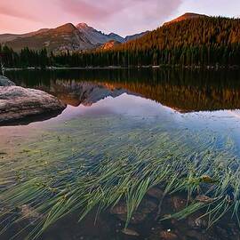 Glacier Gorge Grassy Reflection by Colorado Captures