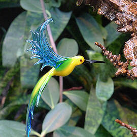 Glass Bird I by Richard Reeve