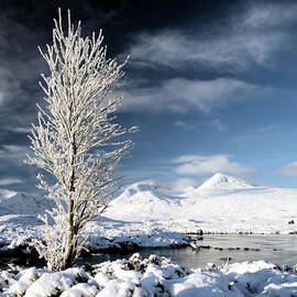 Glencoe winter landscape by Grant Glendinning