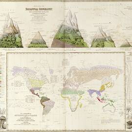 Global Botanical Geography by 